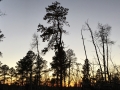 Sunset while hiking in the Black Hills.