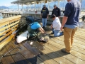 The halibut totally had the look of, "I've made a huge mistake!"