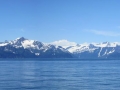 Kenai Fjords boat cruise.