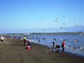 Dipnetting in Kenai, AK. You take these big nets, put them in the water and wait for a Salmon to swim into it.