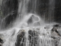 Waterfall in Dorrigo National Park, Australia.