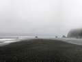 137___redwoods3