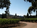 144___napa2