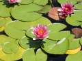 DSC_7681-1280x854