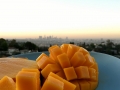 It was awesome to get fresh mangos in California - so delicious!