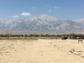 Eastern Sierras.