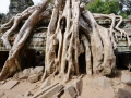 Temple Ruin in Siem Reap.