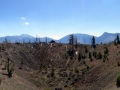 img_1594_stitch