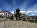 img_2195_stitch