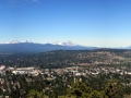 img_2261_stitch