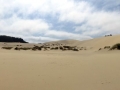 img_2703_stitch