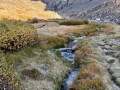 IMG_1895
