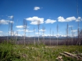 37___west_glacier_national_park___driving_to_polebridge