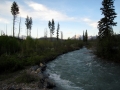 43___bowman_creek
