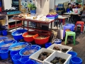 At this restaurant in Hong Kong, you point at the live fish / sea creature you want and then they'lll cook it for you.