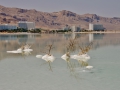 Dead Sea area of Israel.