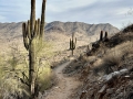 Camelback from Phoenix Mountains Preserve