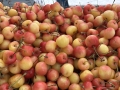 Rainier cherries!