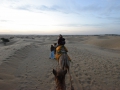 Camel ride in the desert!