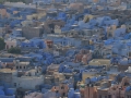 The city of Jodhpur is a blue city. We never found out why.