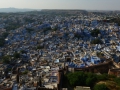 The city of Jodhpur is a blue city. We never found out why.