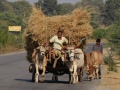 Crusing down the highway in Rajasthan.