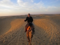 Camel riding!