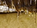 Yagodina Cave
