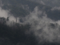 Foggy / rainy day in Transylvania