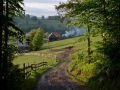Our neighborhood in the Apuseni Mountains.