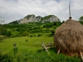 Transylvania.