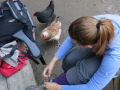 Lots of people raised chickens and the chickens could pretty much do what they want.