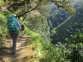 The trail.