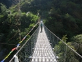A suspension bridge.