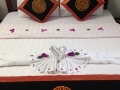 This $20/night room came with swan towels and flower petals!