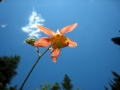 02_img_4068