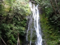 05_img_4447