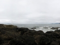 05_olympicnp5