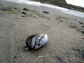 07_img_4615